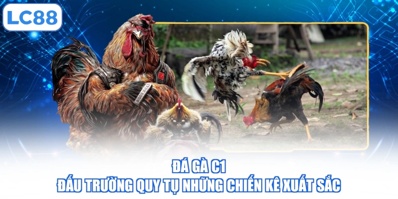 da-ga-c1-dau-truong-quy-tu-nhung-chien-ke-xuat-sac