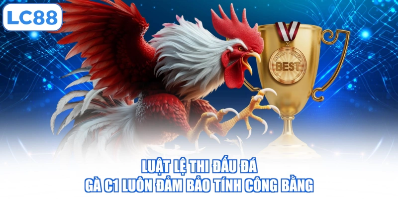 luat-le-thi-dau-da-ga-c1-luon-dam-bao-tinh-cong-bang