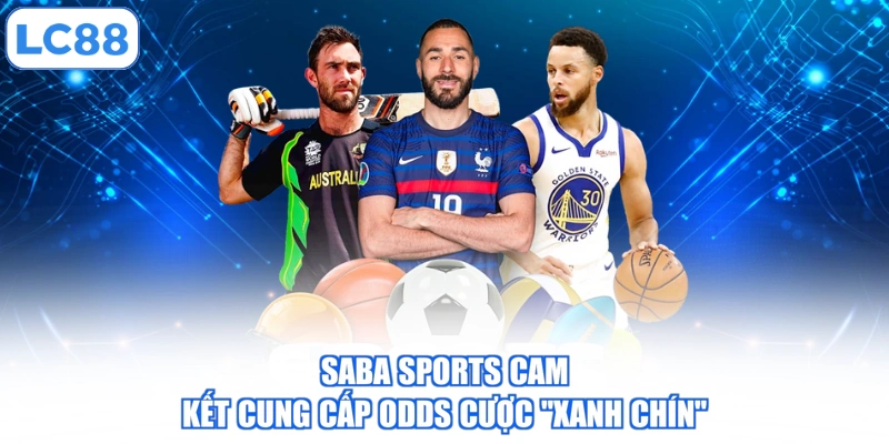saba-sports-cam-ket-cung-cap-odds-cuoc-xanh-chin