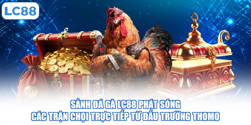 sanh-da-ga-lc88-phat-song-cac-tran-choi-truc-tiep-tu-dau-truong-thomo