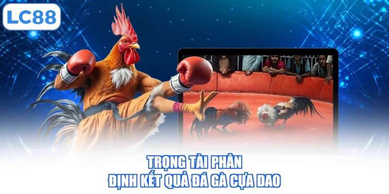 Đá Gà Cựa Dao - 3 Quy Định Về Chiến Kê Trước Khi Ra Trận 4 trong-tai-phan-dinh-ket-qua-da-ga-cua-dao